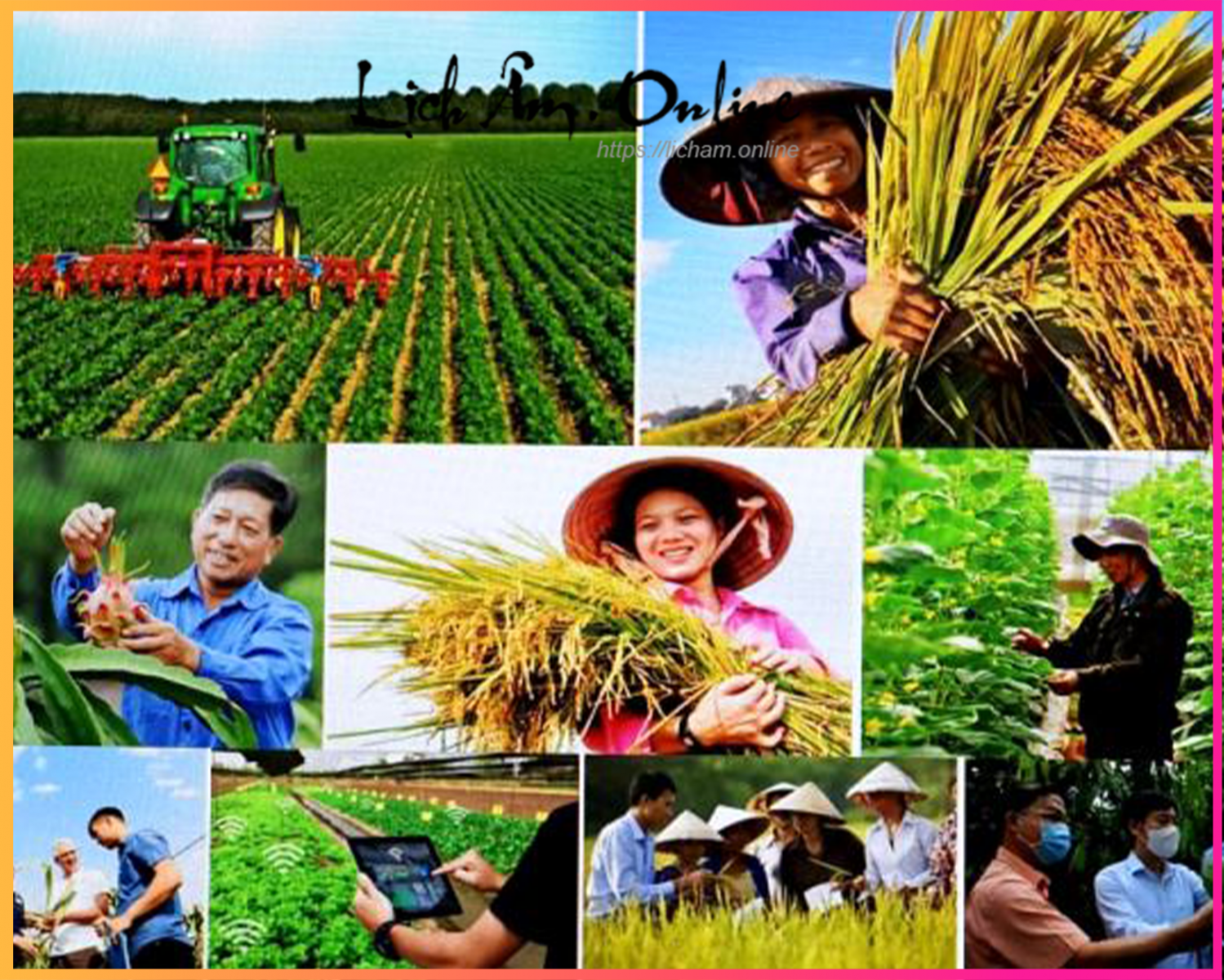 Ngày thành lập Hội Nông dân Việt Nam