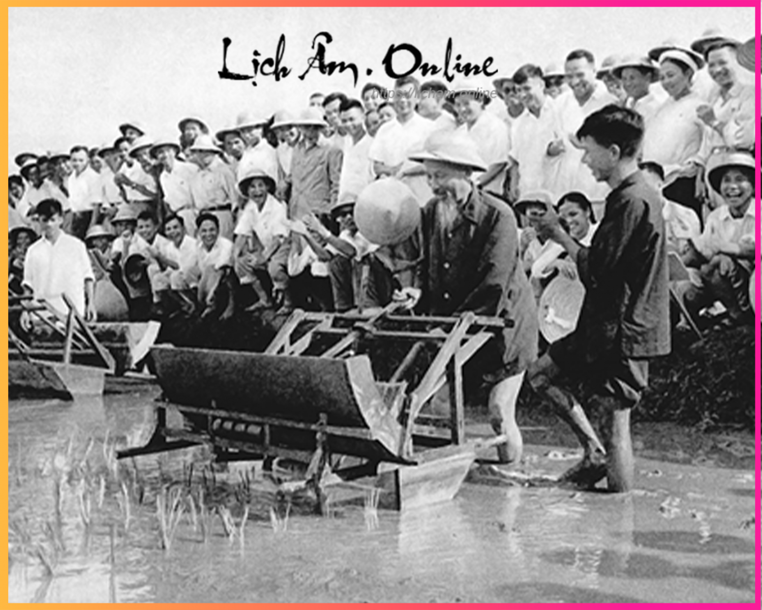 Ngày thành lập Hội Nông dân Việt Nam