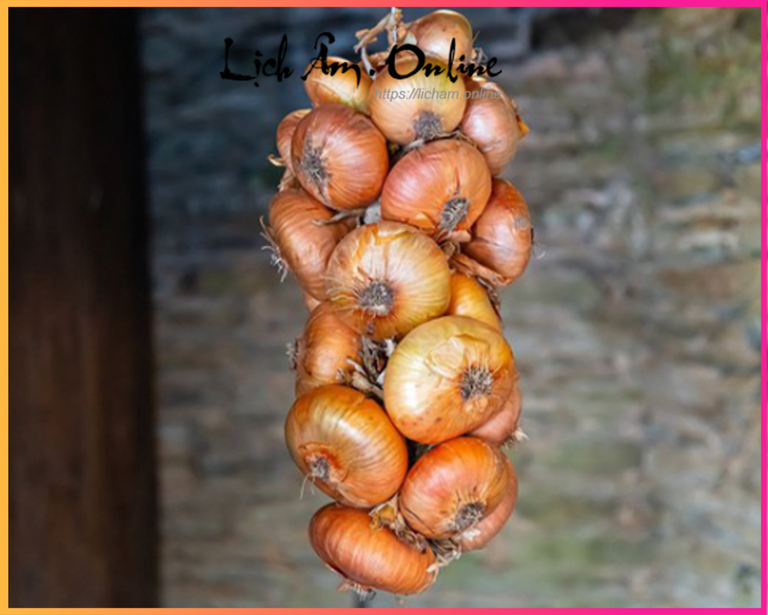 Tết Dương Lịch